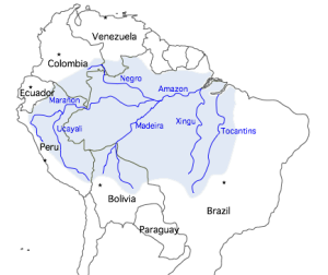 Amazon_river_basin[1]